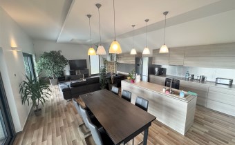 salon z kuchnią