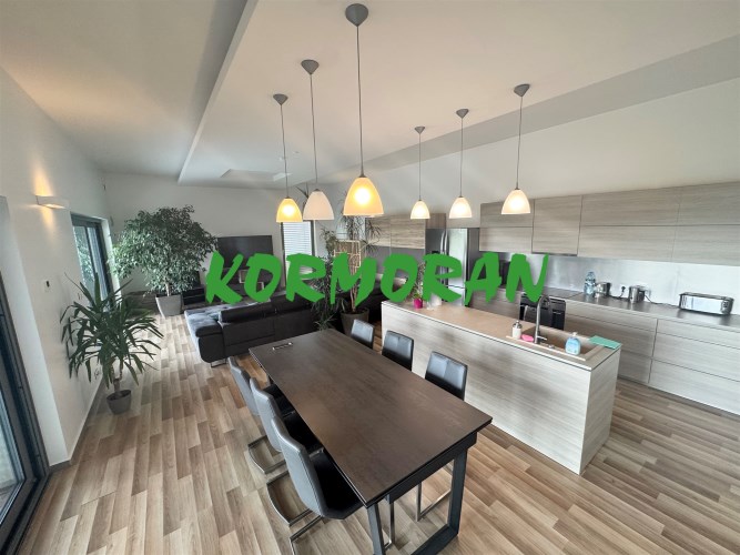 salon z kuchnią