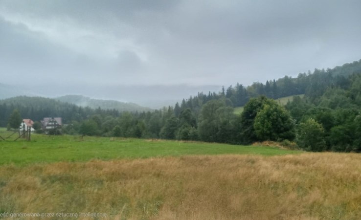 działka na sprzedaż - Zawoja, Barańcowa